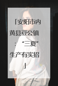 安阳市内黄县豆公镇：“三夏”生产有实招