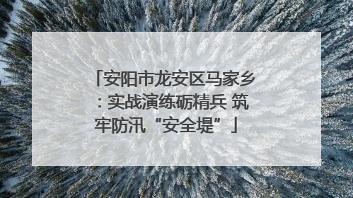 安阳市龙安区马家乡：实战演练砺精兵 筑牢防汛“安全堤”
