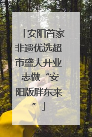安阳首家非遗优选超市盛大开业 志做“安阳版胖东来”