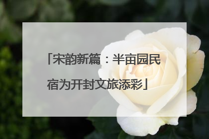 宋韵新篇：半亩园民宿为开封文旅添彩