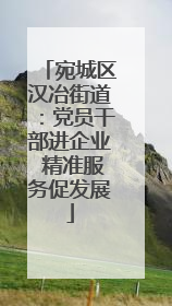 宛城区汉冶街道：党员干部进企业 精准服务促发展