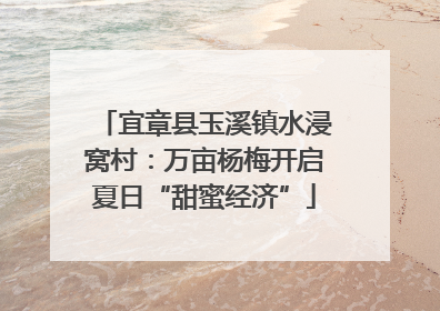 宜章县玉溪镇水浸窝村：万亩杨梅开启夏日“甜蜜经济”