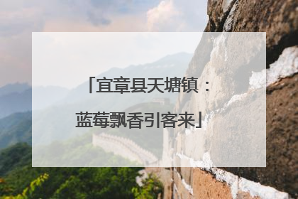 宜章县天塘镇：蓝莓飘香引客来
