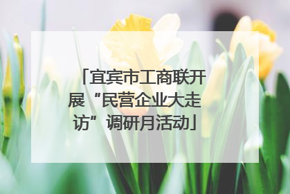 宜宾市工商联开展“民营企业大走访”调研月活动