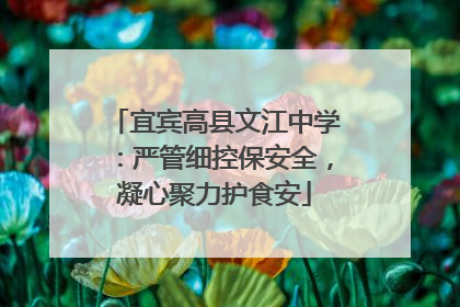 宜宾高县文江中学：严管细控保安全，凝心聚力护食安