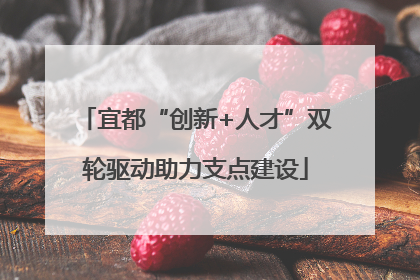 宜都“创新+人才”双轮驱动助力支点建设