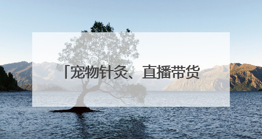 宠物针灸、直播带货……职教周上秀绝活