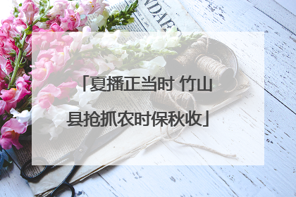 夏播正当时 竹山县抢抓农时保秋收