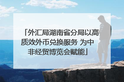 外汇局湖南省分局以高质效外币兑换服务 为中非经贸博览会赋能