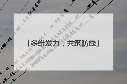 多维发力，共筑防线