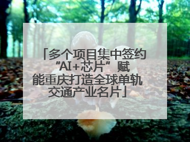 多个项目集中签约 “AI+芯片”赋能重庆打造全球单轨交通产业名片