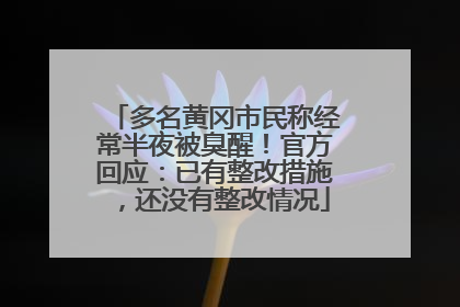 多名黄冈市民称经常半夜被臭醒!官方回应:已有整改措施,还没有整改情况