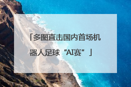 多图直击国内首场机器人足球“AI赛”