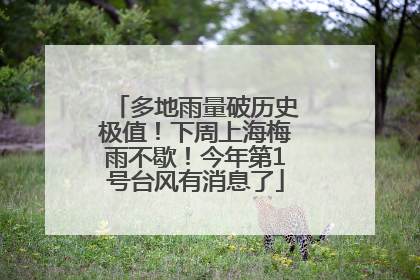 多地雨量破历史极值！下周上海梅雨不歇！今年第1号台风有消息了