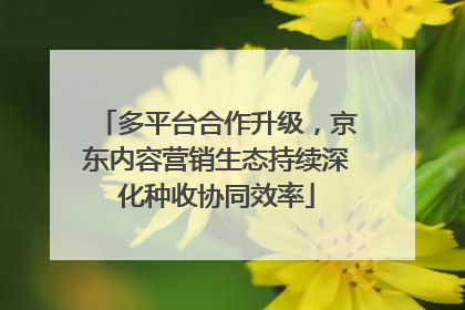多平台合作升级，京东内容营销生态持续深化种收协同效率