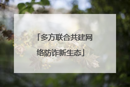 多方联合共建网络防诈新生态