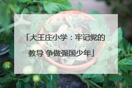 大王庄小学：牢记党的教导 争做强国少年