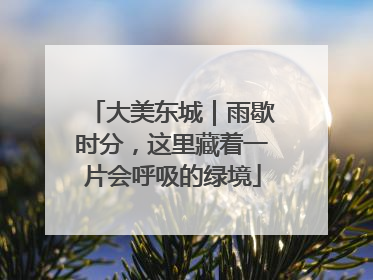 大美东城｜雨歇时分，这里藏着一片会呼吸的绿境