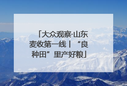 大众观察·山东麦收第一线丨“良种田”里产好粮