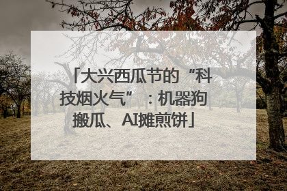 大兴西瓜节的“科技烟火气”：机器狗搬瓜、AI摊煎饼