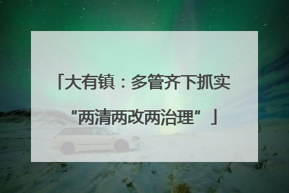 大有镇：多管齐下抓实“两清两改两治理”