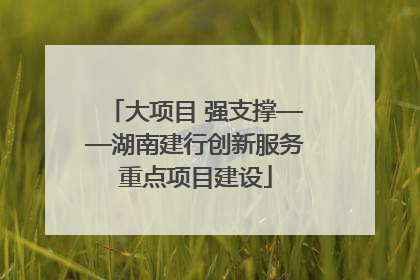 大项目 强支撑——湖南建行创新服务重点项目建设