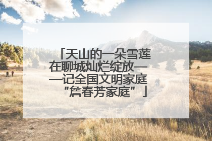 天山的一朵雪莲在聊城灿烂绽放——记全国文明家庭“詹春芳家庭”