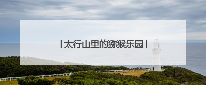太行山里的猕猴乐园