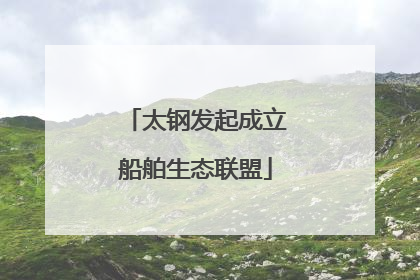 太钢发起成立船舶生态联盟