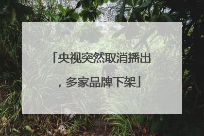 央视突然取消播出，多家品牌下架