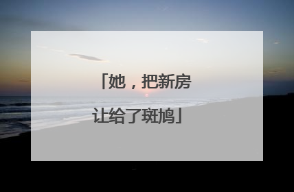 她，把新房让给了斑鸠