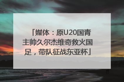 媒体：原U20国青主帅久尔杰维奇救火国足，带队征战东亚杯
