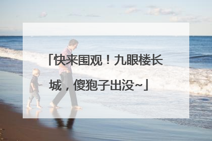 快来围观！九眼楼长城，傻狍子出没~
