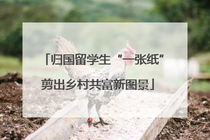 归国留学生“一张纸”剪出乡村共富新图景