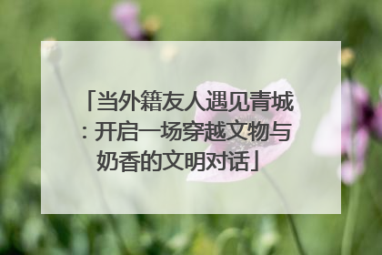 当外籍友人遇见青城：开启一场穿越文物与奶香的文明对话