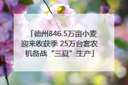 德州846.5万亩小麦迎来收获季 25万台套农机备战“三夏”生产