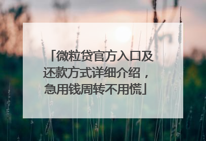 微粒贷官方入口及还款方式详细介绍，急用钱周转不用慌