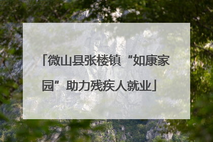 微山县张楼镇“如康家园”助力残疾人就业