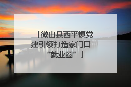 微山县西平镇党建引领打造家门口“就业圈”