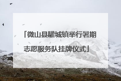 微山县驩城镇举行暑期志愿服务队挂牌仪式