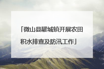 微山县驩城镇开展农田积水排查及防汛工作