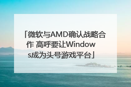 微软与AMD确认战略合作 高呼要让Windows成为头号游戏平台