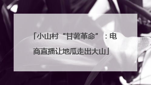 小山村“甘薯革命”：电商直播让地瓜走出大山