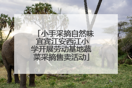 小手采摘自然味 宜宾江安西江小学开展劳动基地蔬菜采摘售卖活动