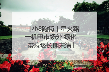 小8跑街｜星火路一机电市场外 绿化带垃圾长期未清