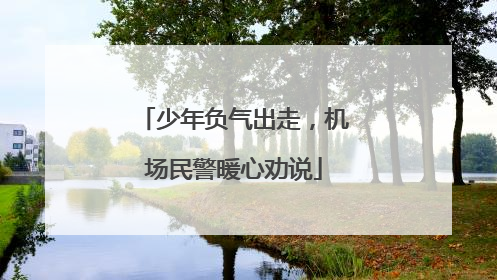 少年负气出走，机场民警暖心劝说