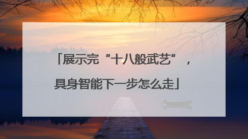 展示完“十八般武艺”，具身智能下一步怎么走