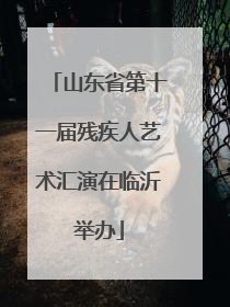 山东省第十一届残疾人艺术汇演在临沂举办