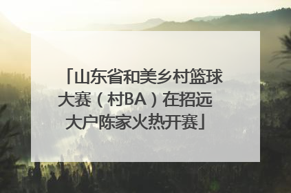 山东省和美乡村篮球大赛（村BA）在招远大户陈家火热开赛
