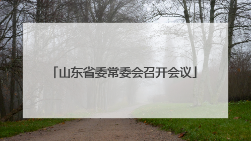 山东省委常委会召开会议
